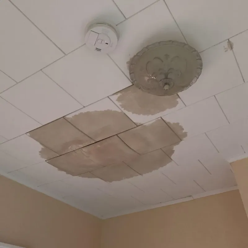 Ceiling Water Damage Repair in South Whitley, IN