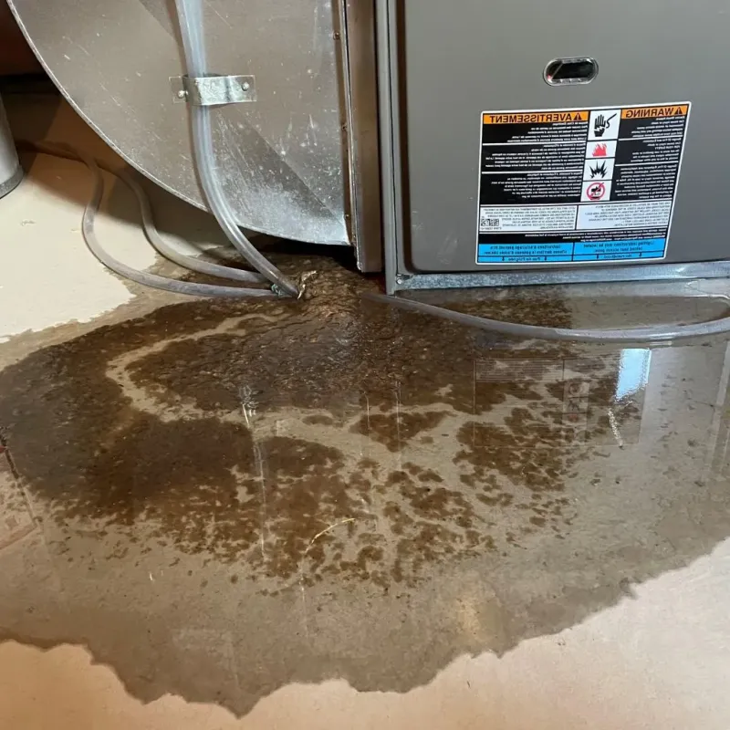 Pipe Burst and Leak Restoration in South Whitley, IN